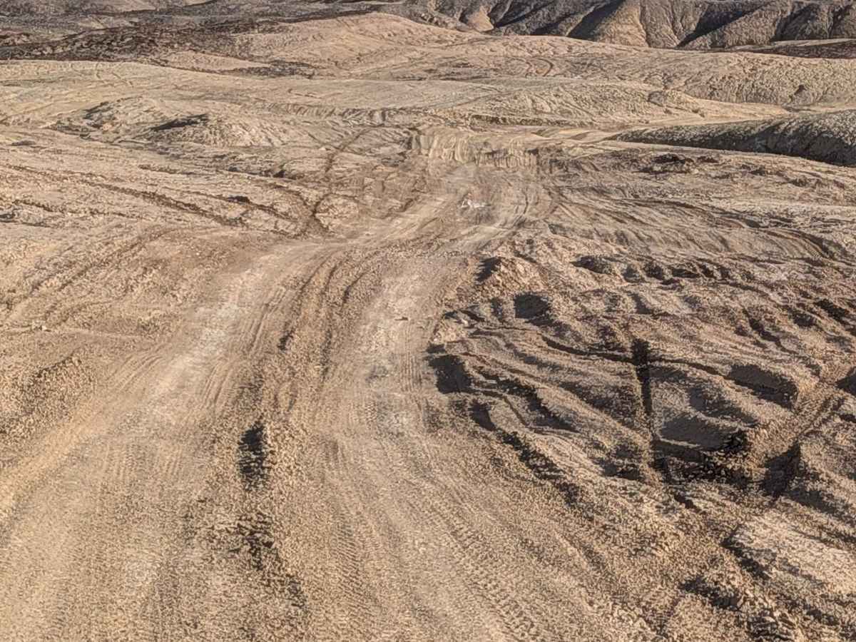 BLM 236 photo 6