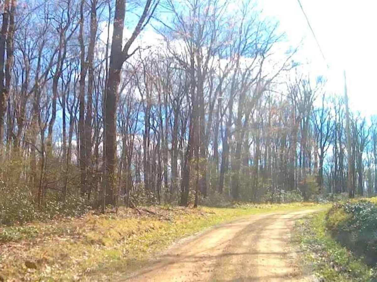 Weilder Road photo 3