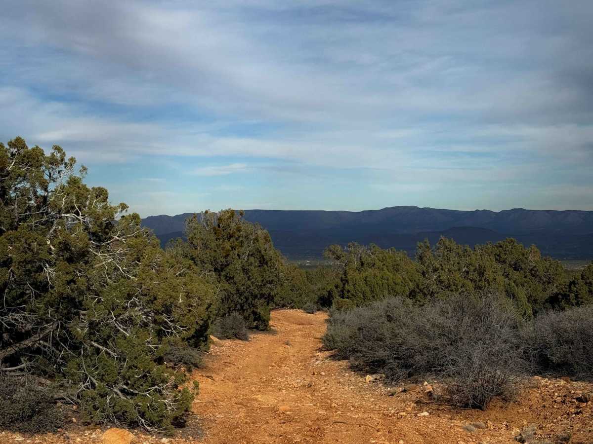 H1332/BLM 7226 trail photo