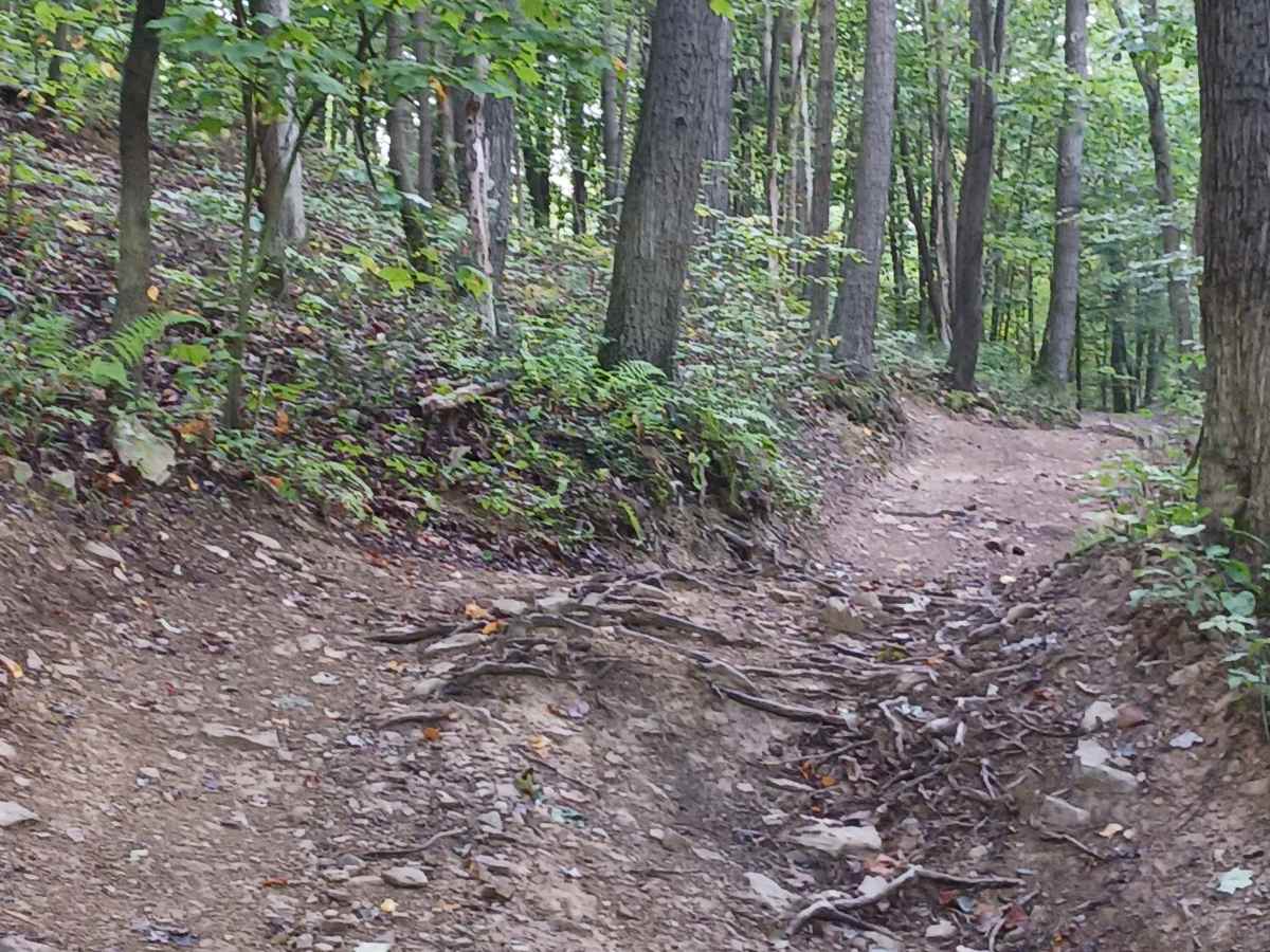 Rock Den - Rock Run Recreation Area photo 5