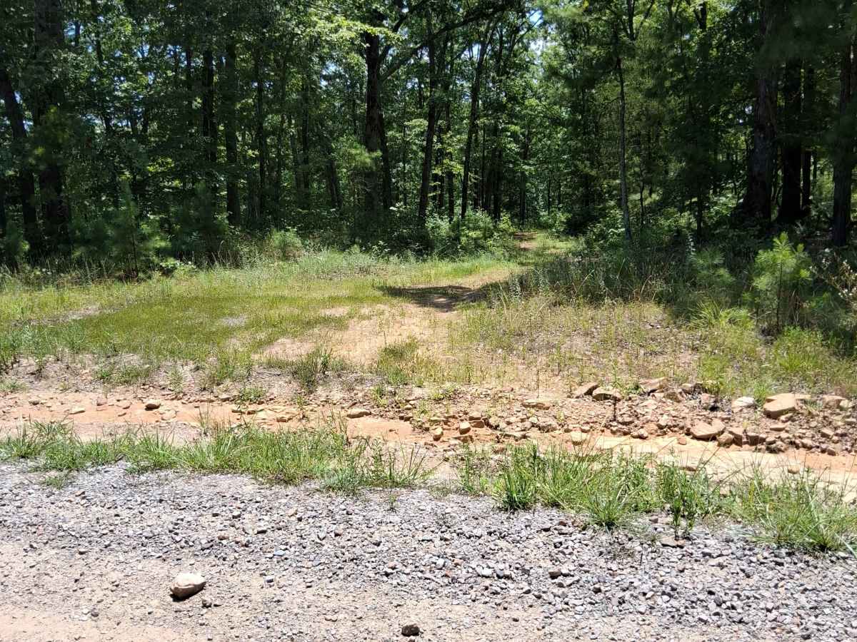 Stefoder Road trail photo
