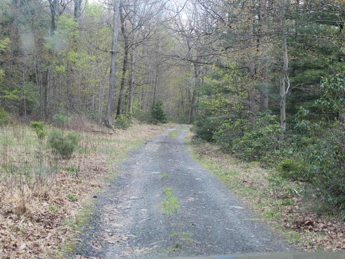 Old Sand Mountain Road photo 2
