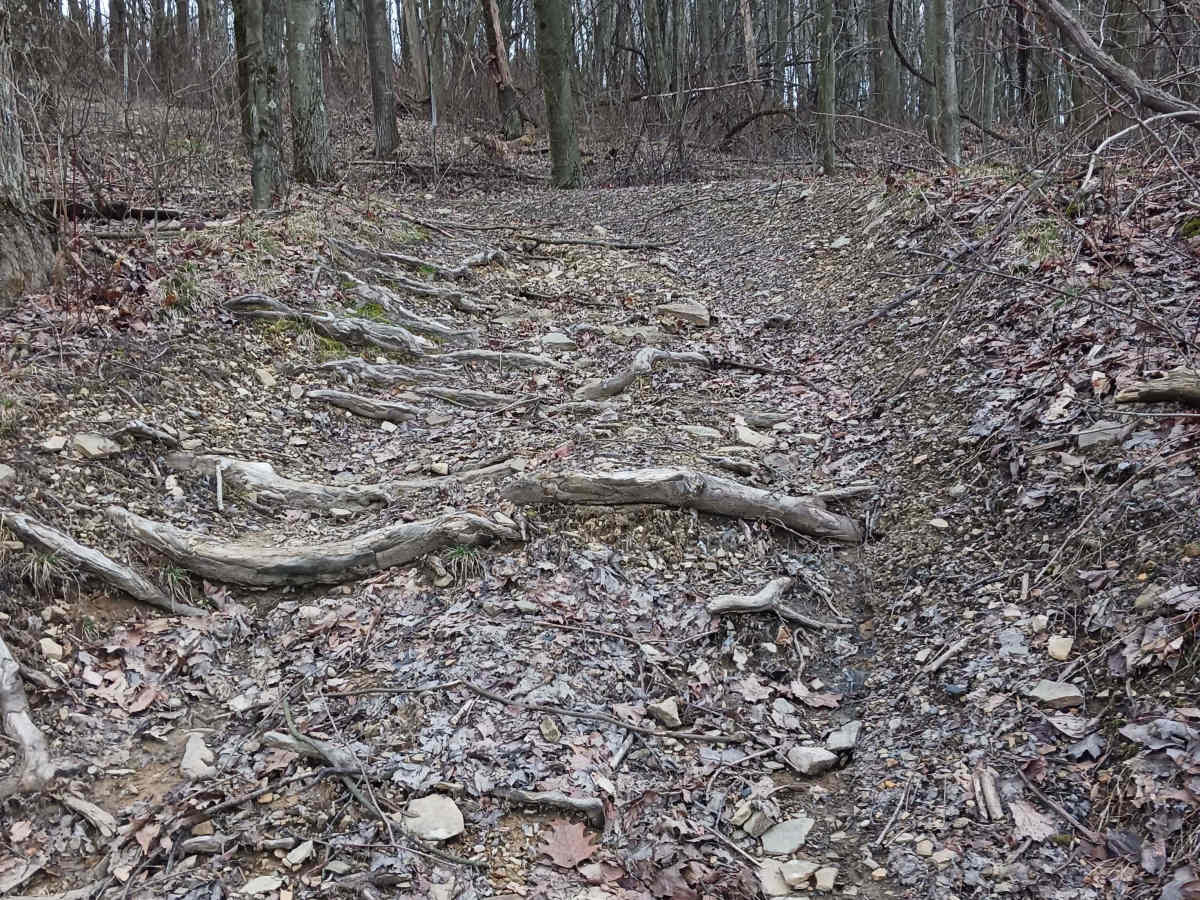 Trail 4A - Rock Run Recreation Area photo 6