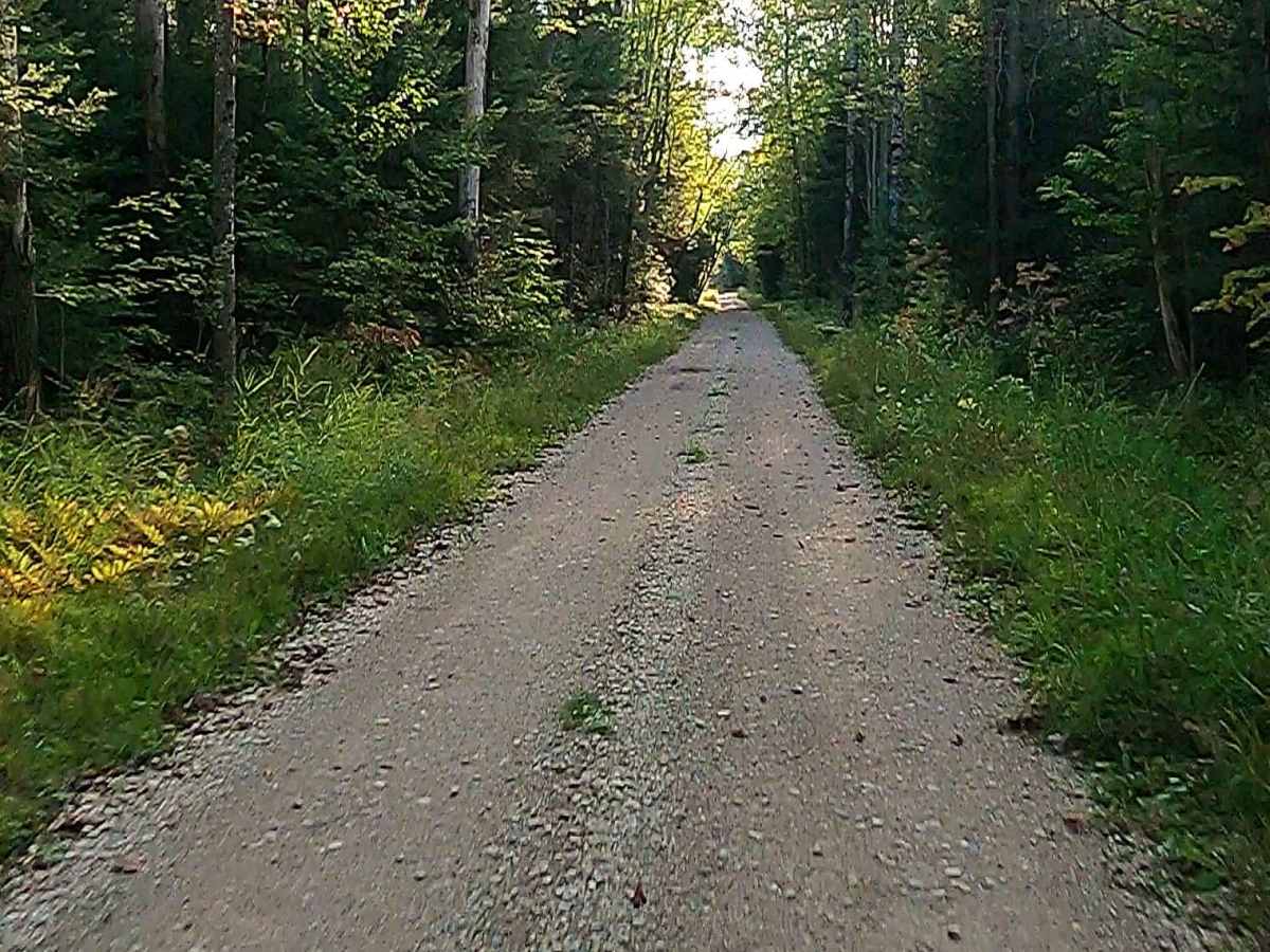 Pine River Truck Trail - FS 3137 photo 2