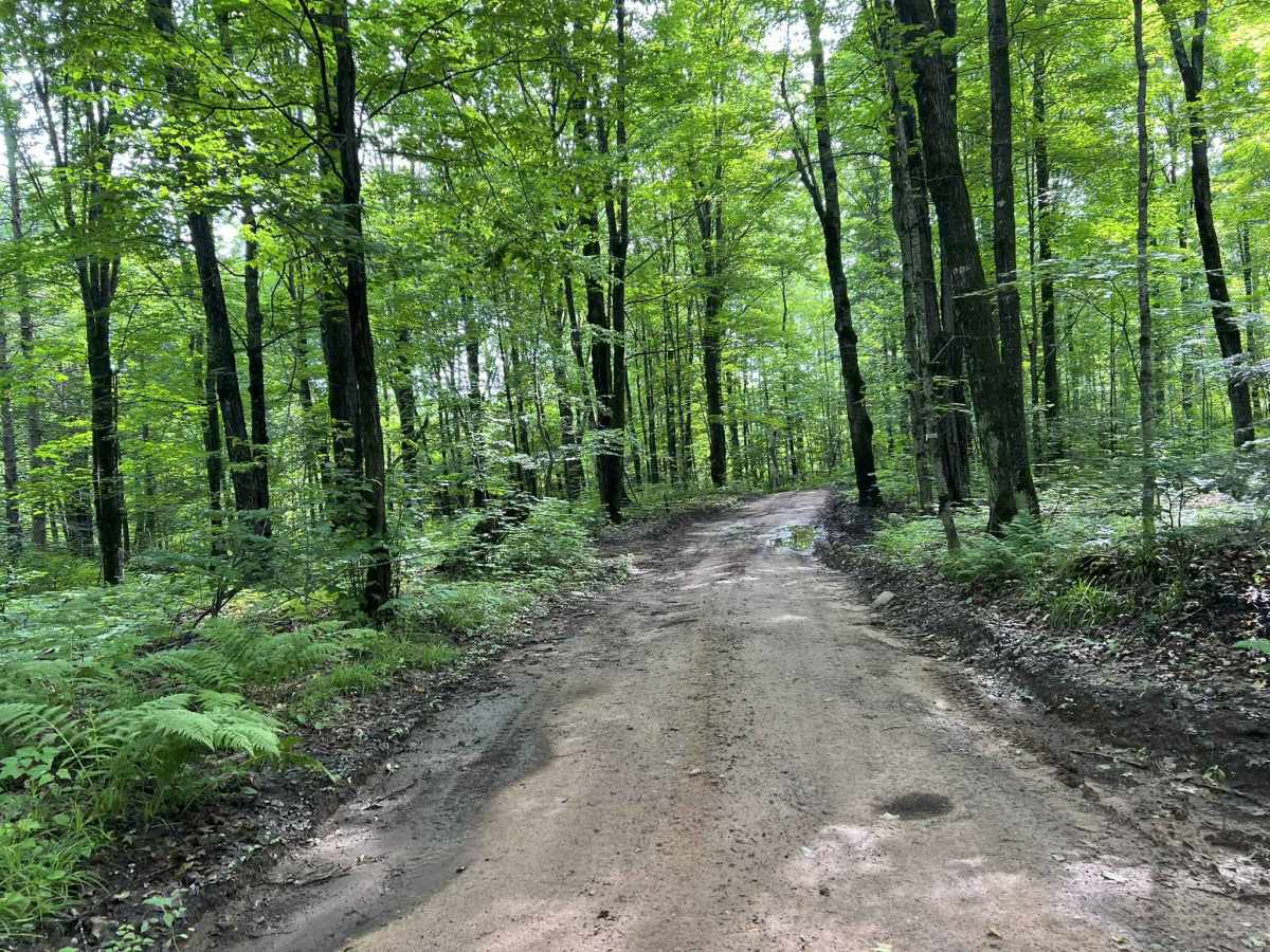LL FDR-5288 Trail photo 5