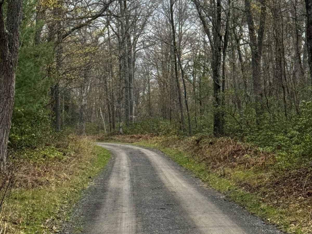 Manor Fork Road photo 6