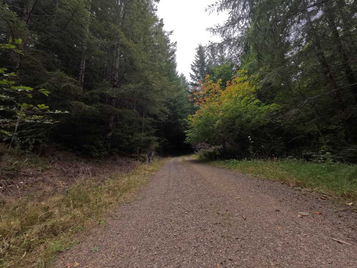 W-3000.7 trail photo