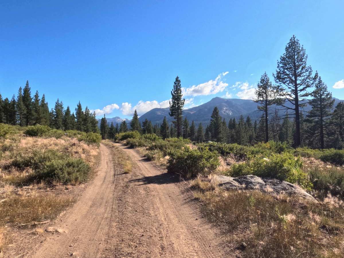 Hawkins Spur C - FS 31019C trail photo