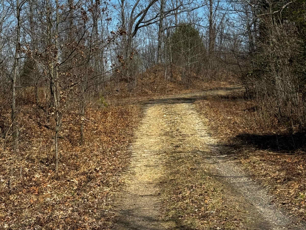 Little Council Run Trail photo 6