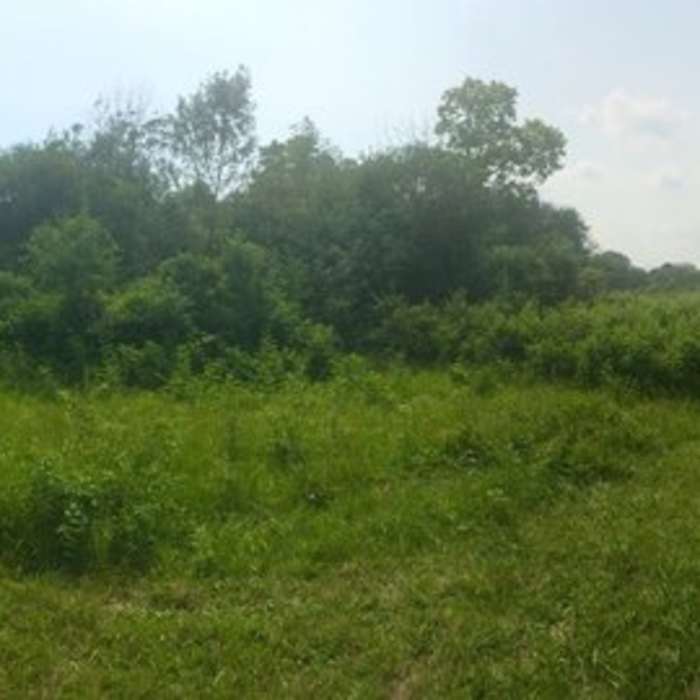 The beginning of the trail where you can decide which way to go first. Near Prairie Pathway