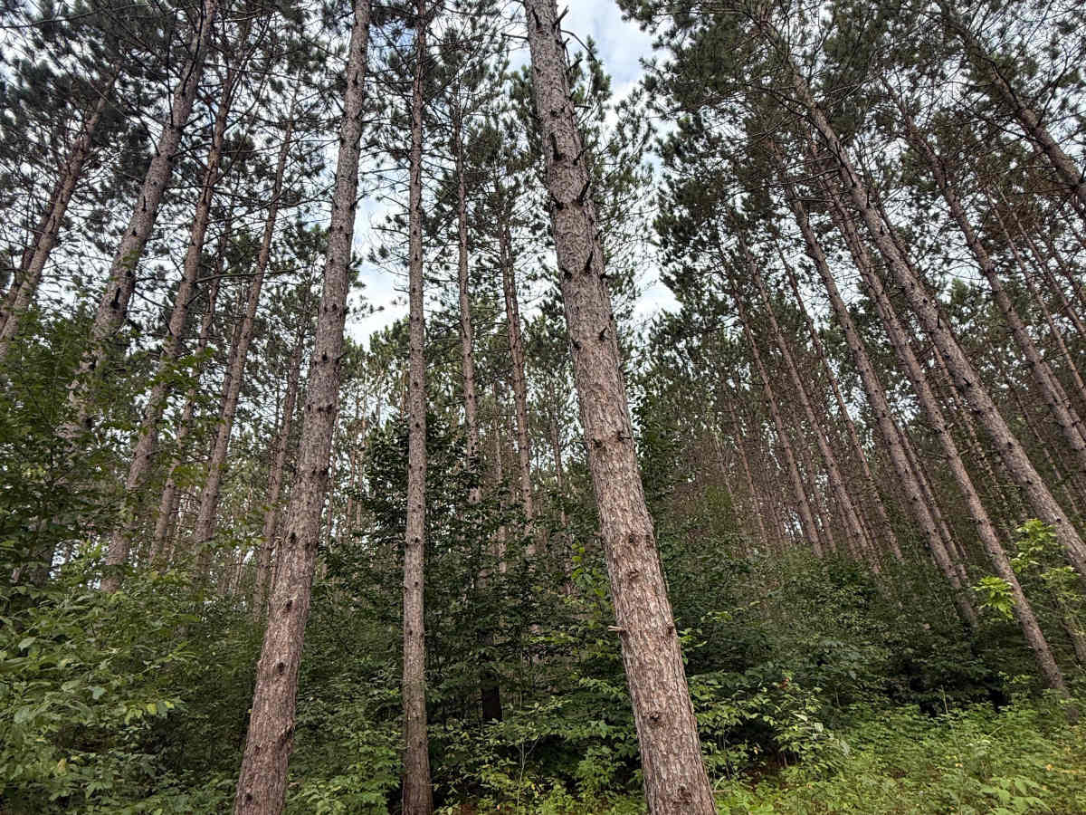 FS 7540 photo 5