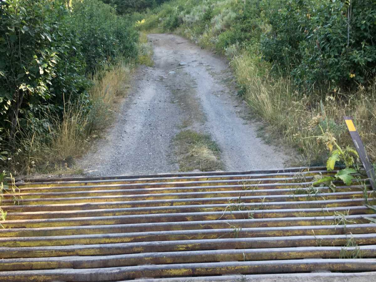 Corral Creek Road - FS 177 photo 6