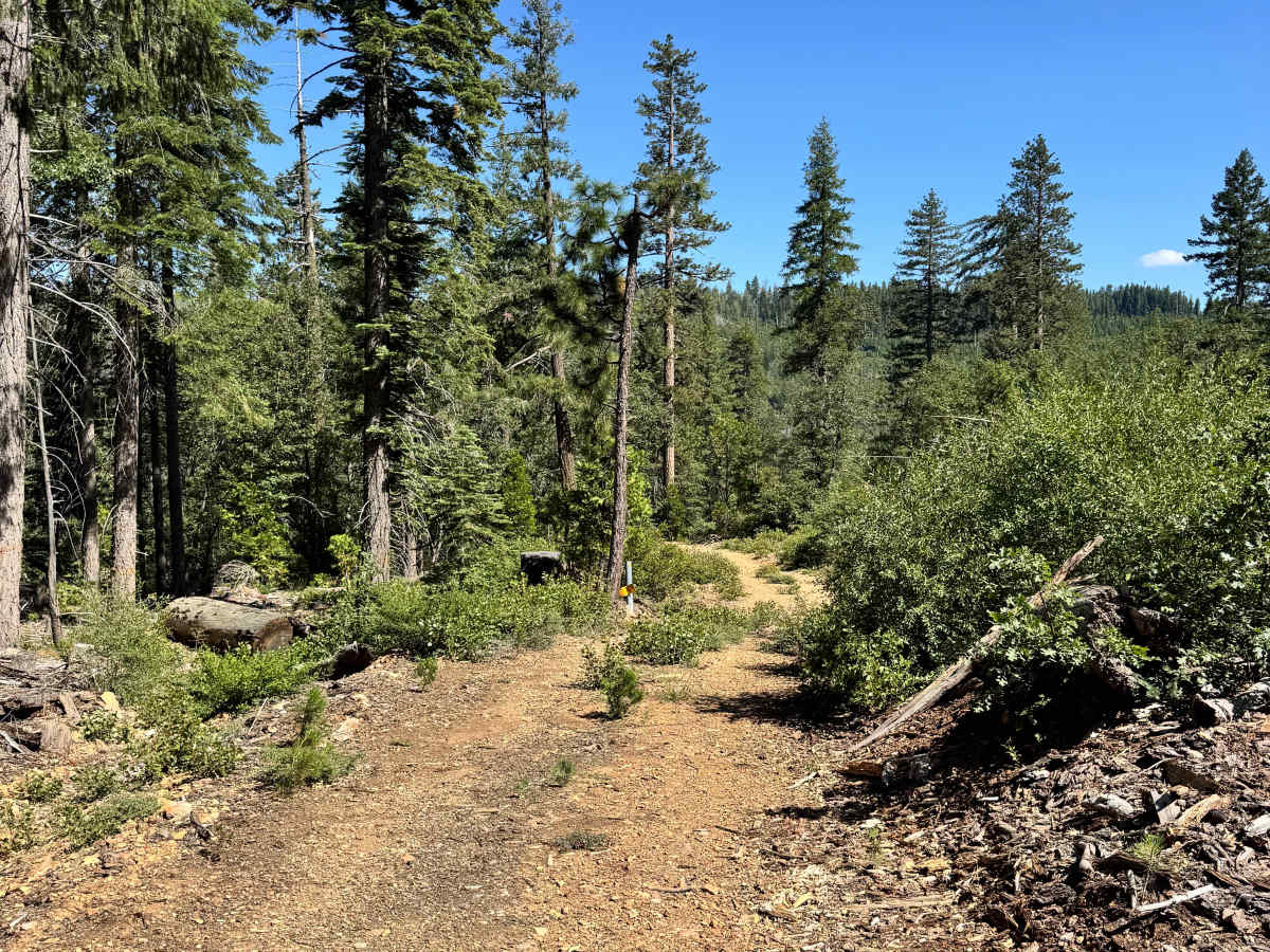 Lower Glen Spur - FS 96-54-15 trail photo