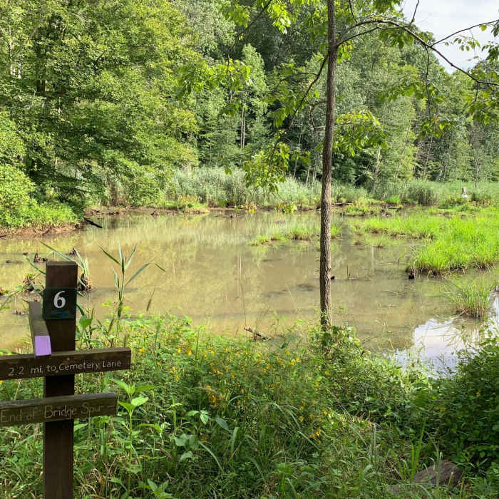 Near North-South Trail