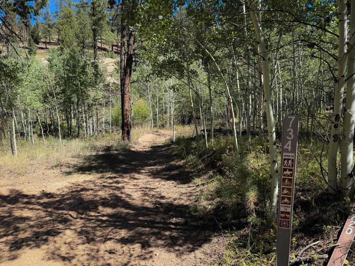Ridge Trail 734  photo 5