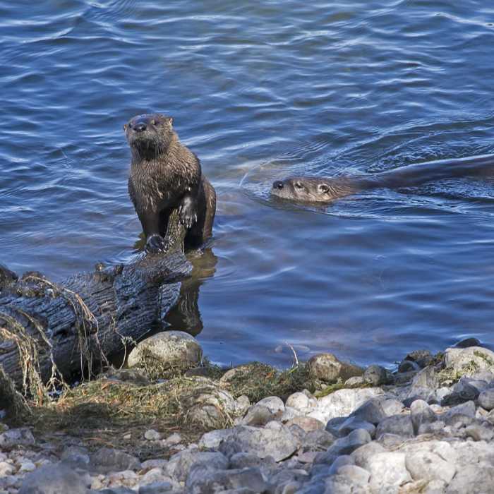 Near Heron Pond Hike
