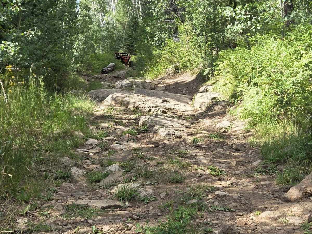 First Notch Road - FS 620 photo 6