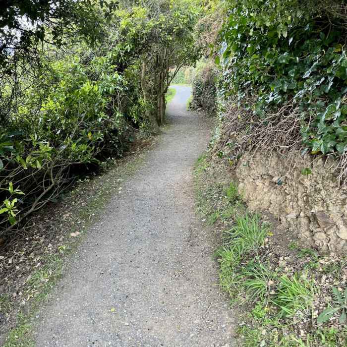 Near Nugget Point Lighthouse Near Nugget Point Lighthouse