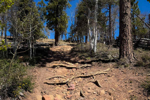 Upper 2 Mile Loop  