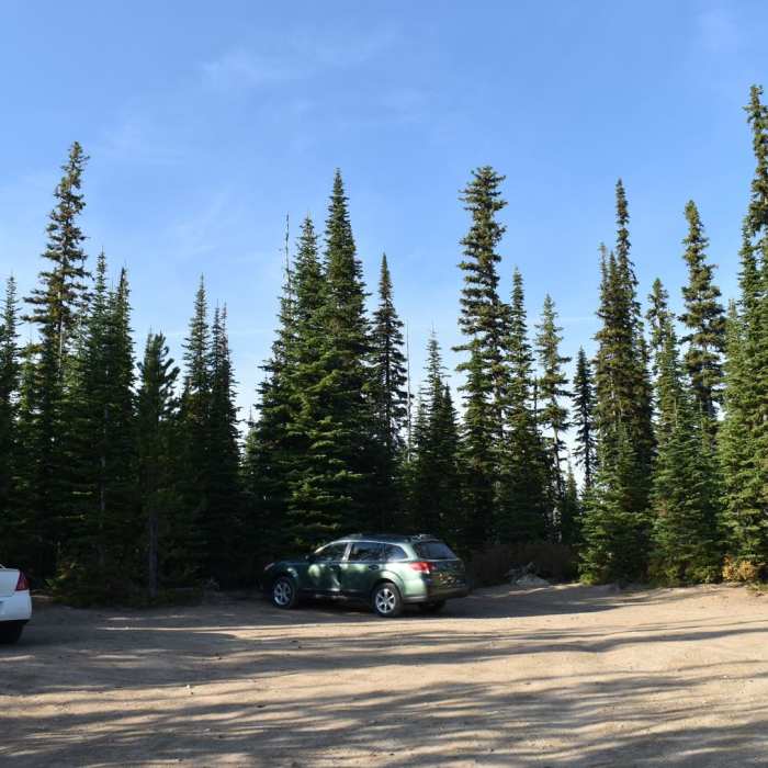 Near Ch-paa-qn (Reservation Divide Trail)