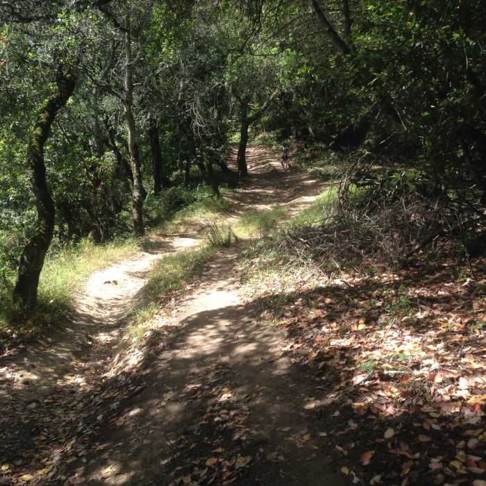 Near French Trail