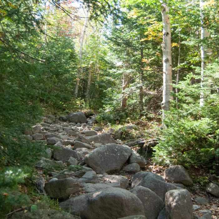 Near The MacIntyre Range Hike Near The MacIntyre Range Hike