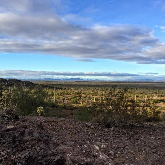 Near Picacho Peak Sunset Loop