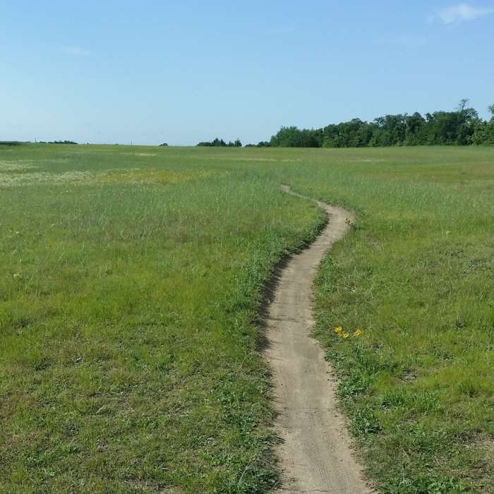 The trail passes through many large fields that, with the right timing, offer a wondrous rainbow of wildflowers. Near Erwin Park