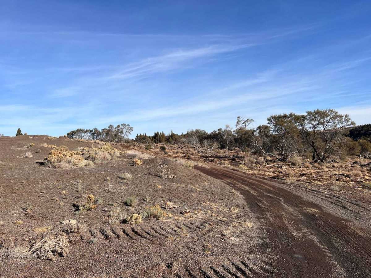 Gravel Pit Camp Road photo 6