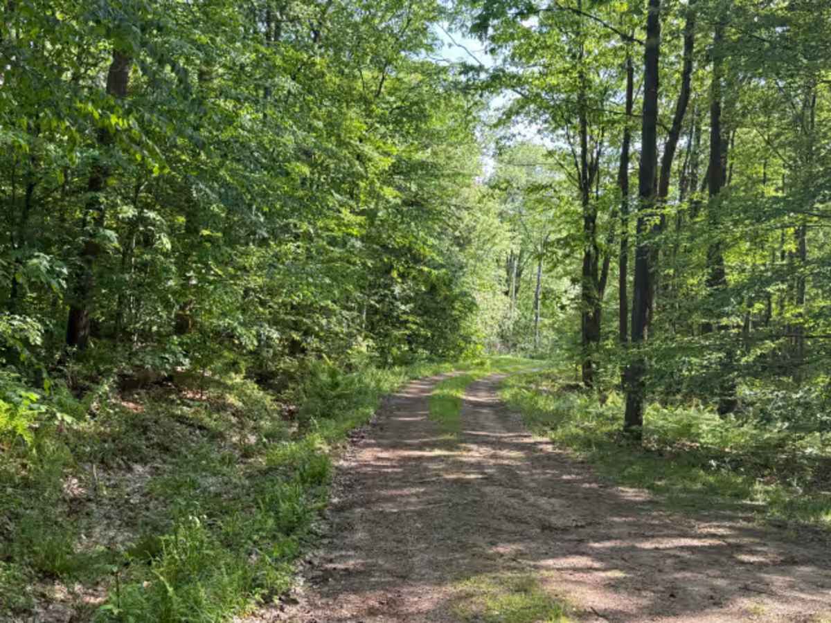 Deadman's Corner - FS 128F photo 4