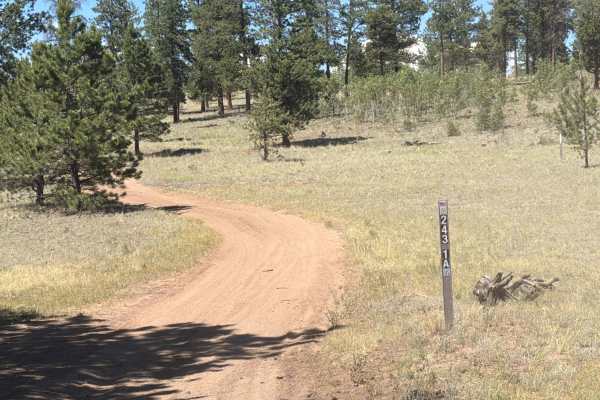 Goose Chase Loop Road - FS 243.1A