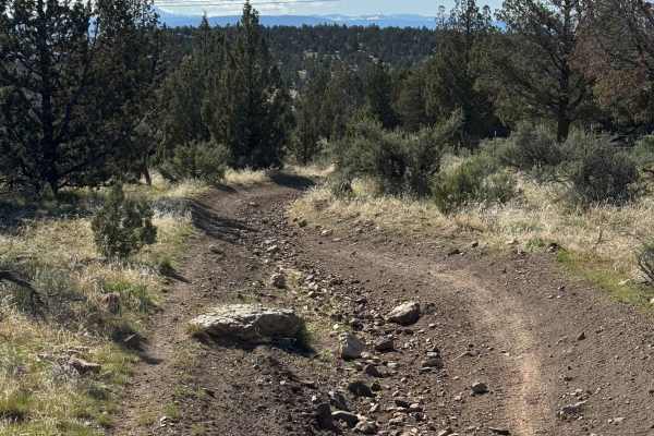 OHV Trail #10
