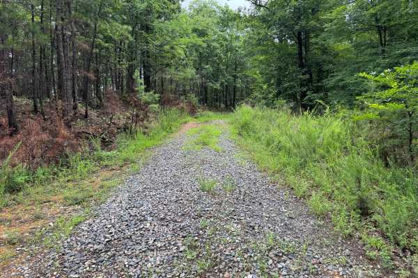 Mullins Loop