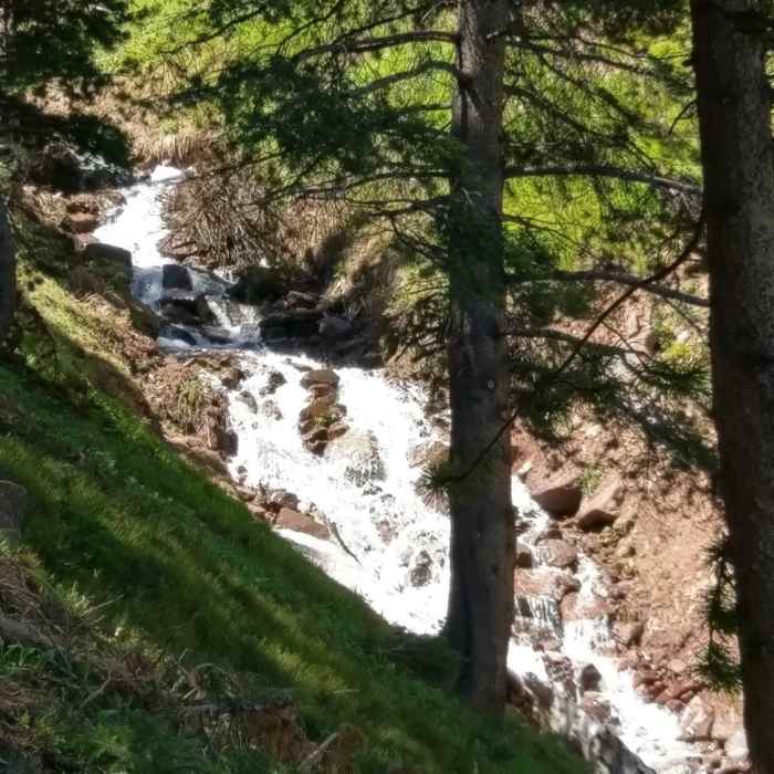Near Cabin Trail