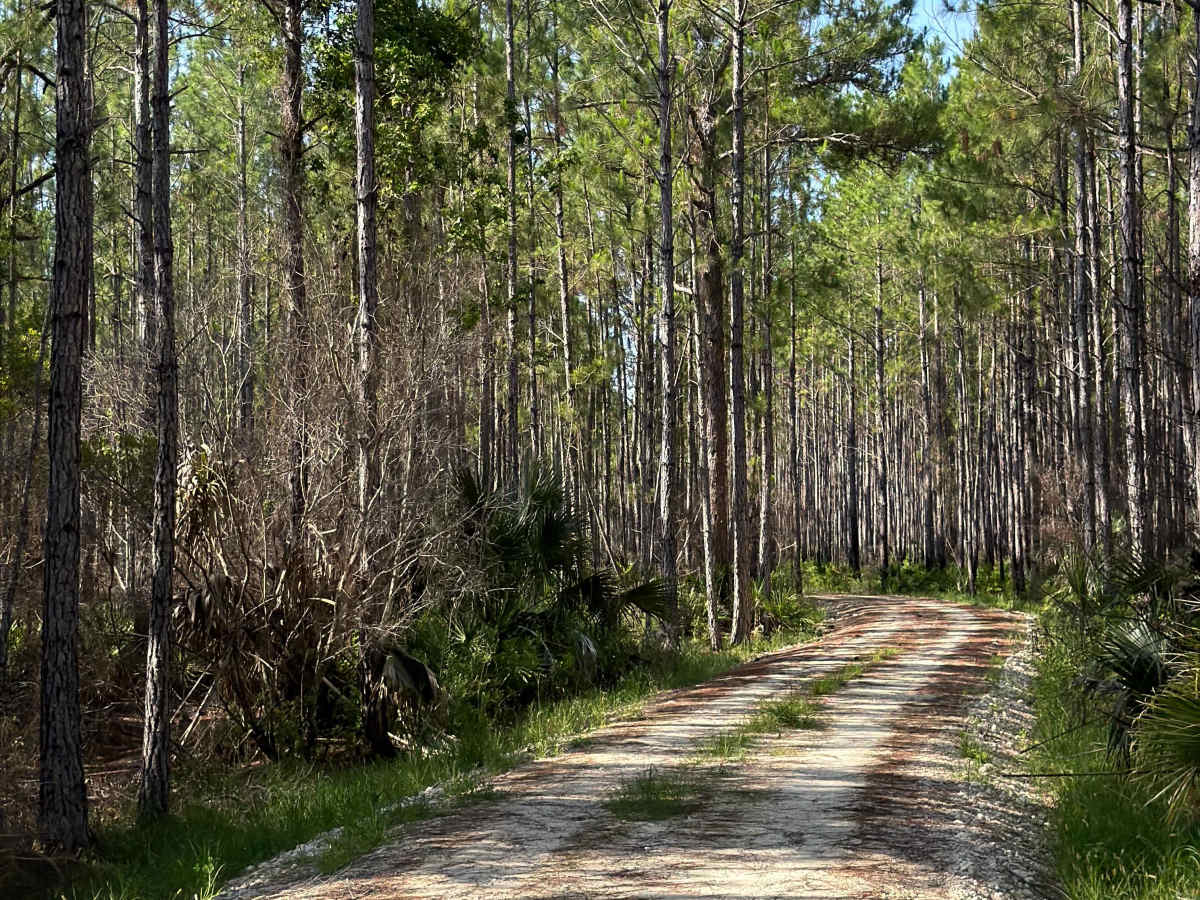 Dexter Point Road photo 6