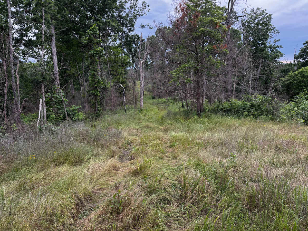 Hooper Hollow photo 4