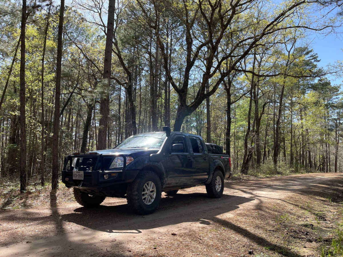Big Woods photo 5