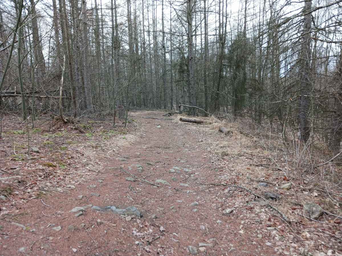 Trail 15C - Rock Run Recreation Area photo 5