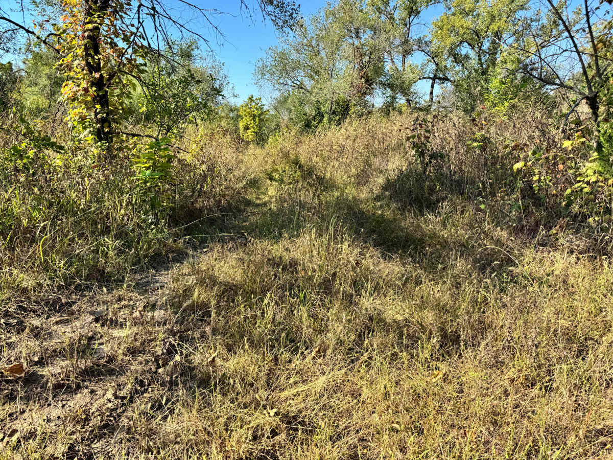 Shop Floor Shortcut trail photo
