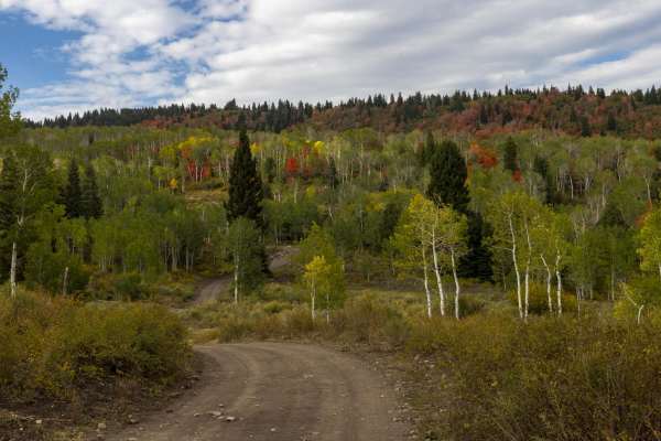 Water Hollow Road
