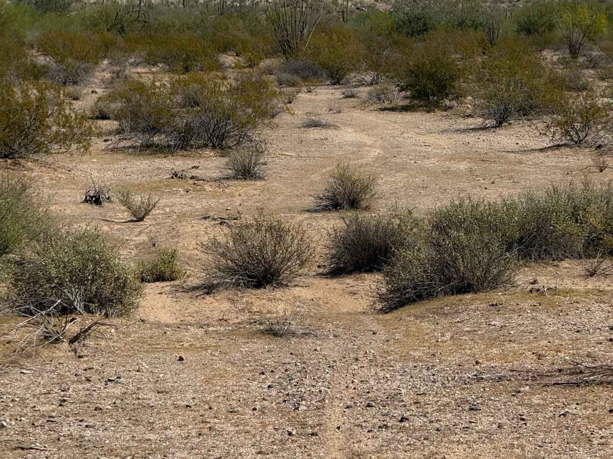 Hidden Valley  trail photo