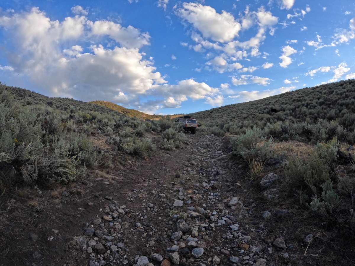 Salt Creek Repeater photo 2