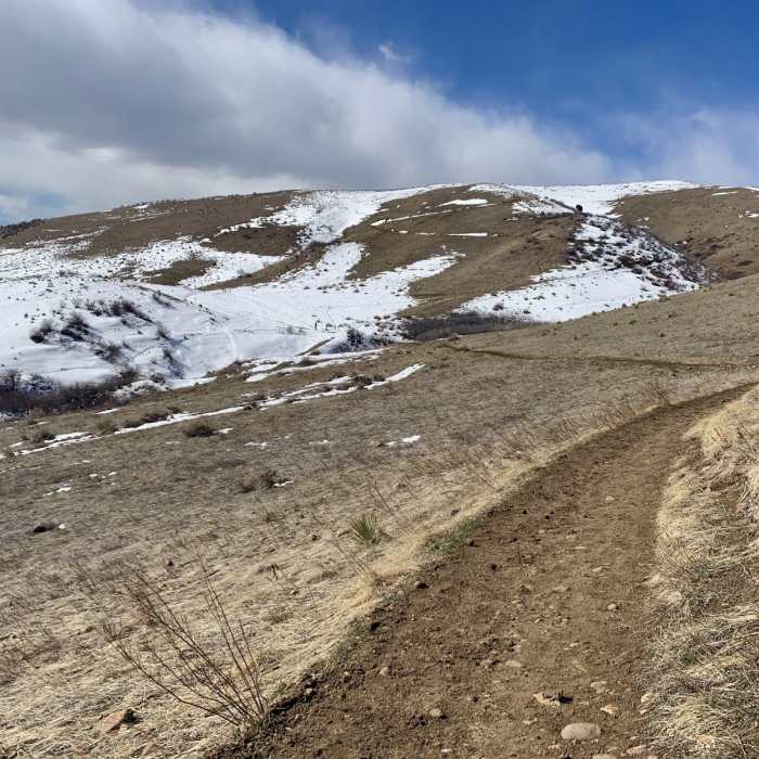 Near Hayden Trail Loop