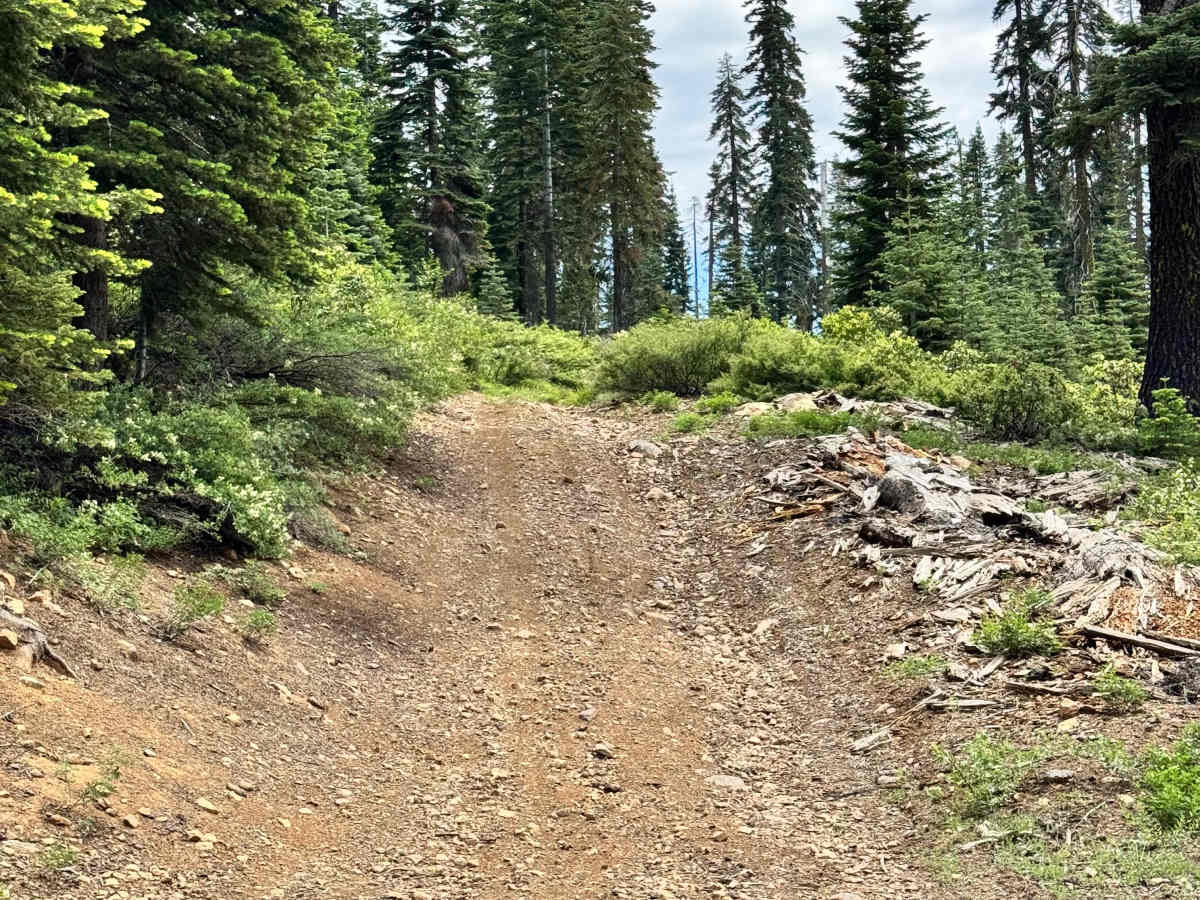 Westcott - FS 43 trail photo