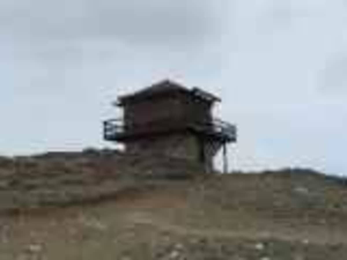 Sheep Mountain Fire Lookout Tower trail photo