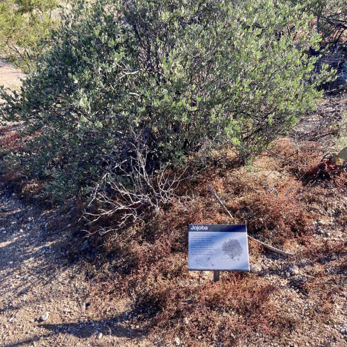 Near Freeman Homestead Trail