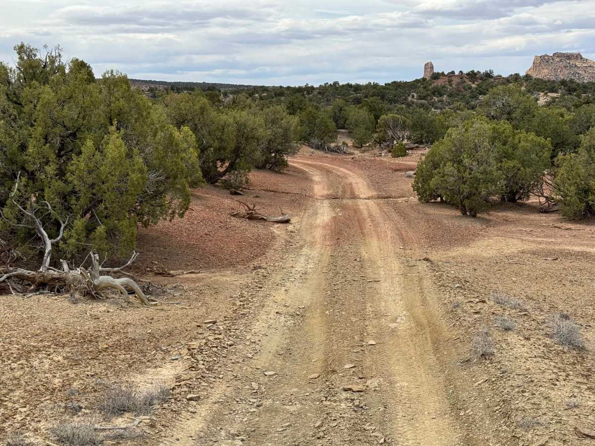 BLM 929 photo 4