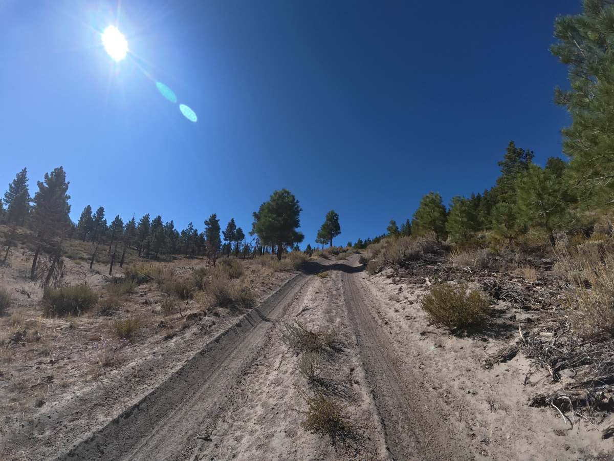 Long Valley Caldera photo 3