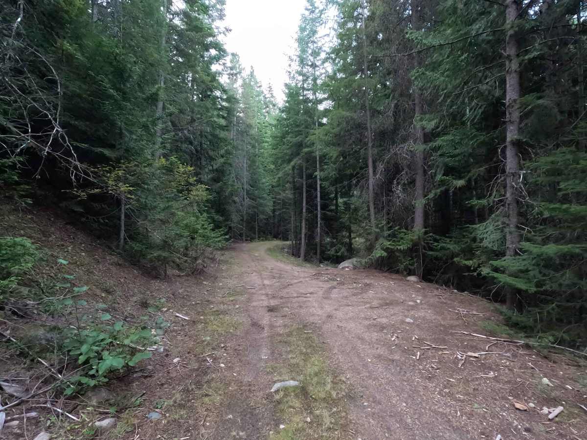 Johnson Creek - FS 7005350 photo 6