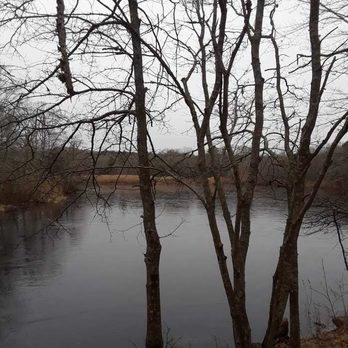 Down by the river Near Grills Preserve Loop